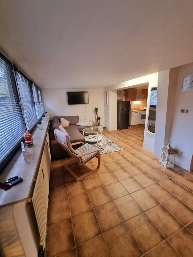 Souterrainwohnung Zentrale Lage In 데트몰트 외부 사진